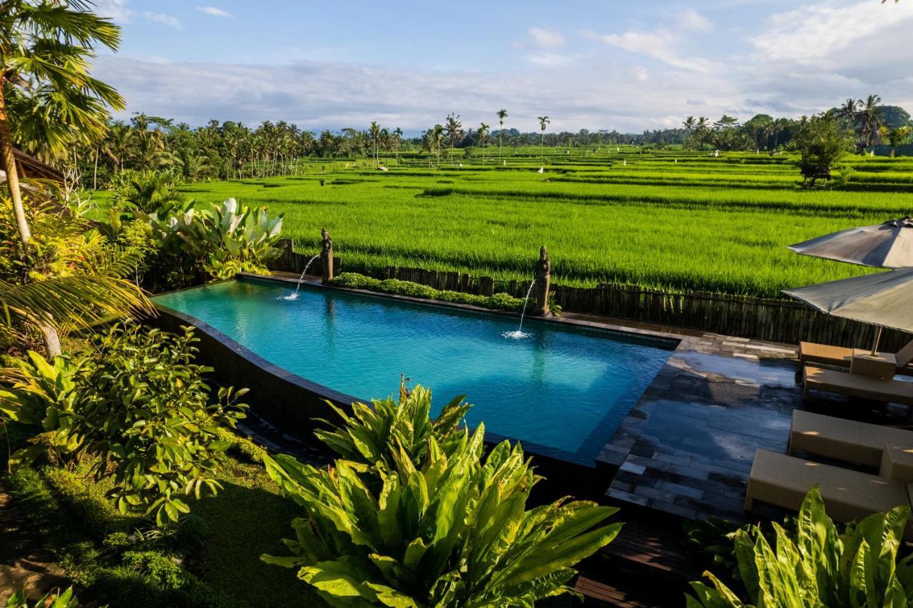 Padi Bali Eco Villas Payangan Esterno foto